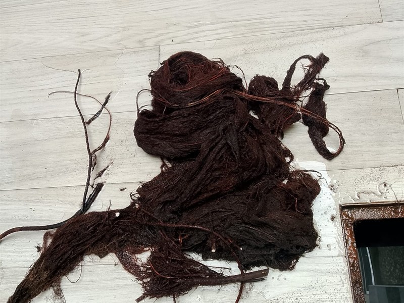 Extracción de raíces masivas de drenaje sanitario