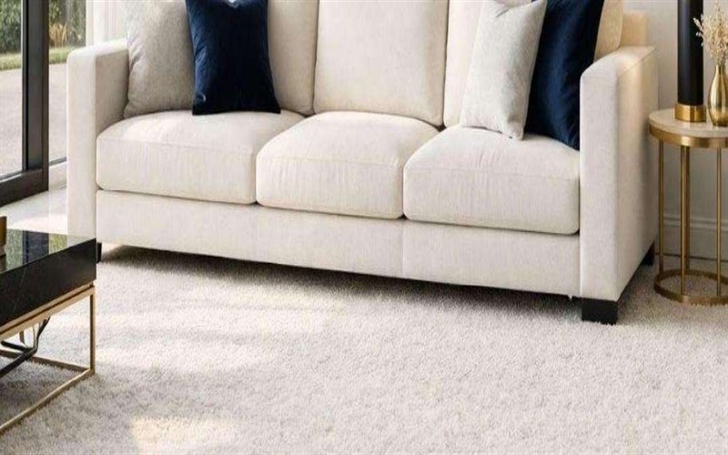 Lavado de Muebles, Alfombras y Pulido de Pisos
